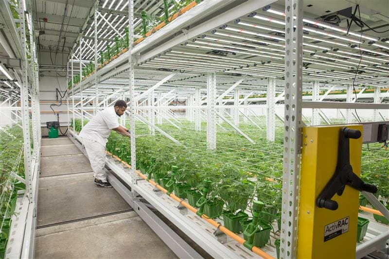 Mobile shelving for an Indoor hydroponics grow operation